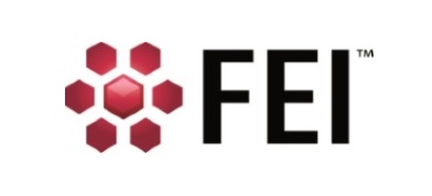 FEI Company of USA (S.E.A) Pte Ltd